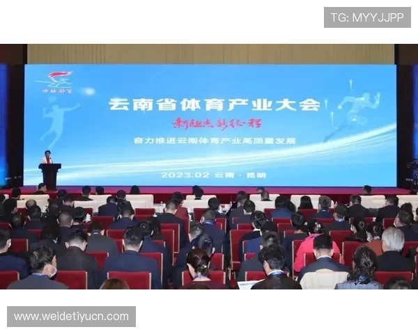 开云体育体育:加强体育人才培养,推动体育教育与产业深度融合 开云体育体育:加强体育人才培养,推动体育教育与产业深度融合