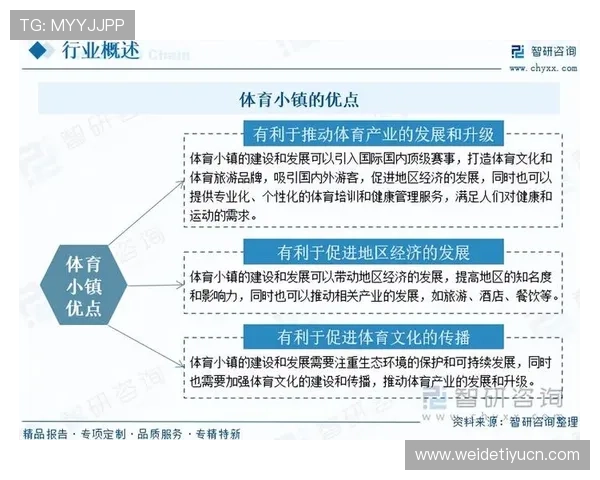 七星体育未来发展方向：平台创新与体育产业融合的最新趋势分析