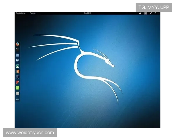 满冠体育app下载安全保障措施，保障用户信息安全与隐私保护