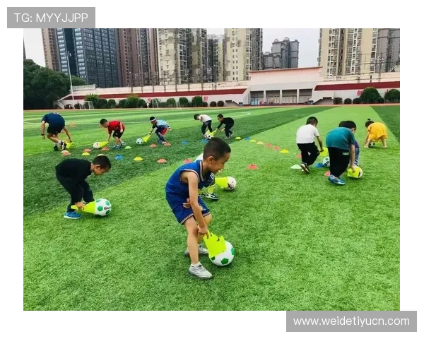 3386体育如何打造多元化体育社区促进用户交流与互动体验提升