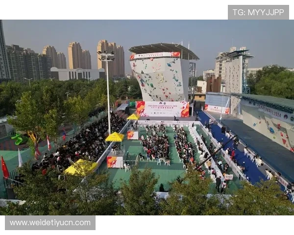 贝博体育如何实现多元化体育赛事覆盖满足不同用户需求